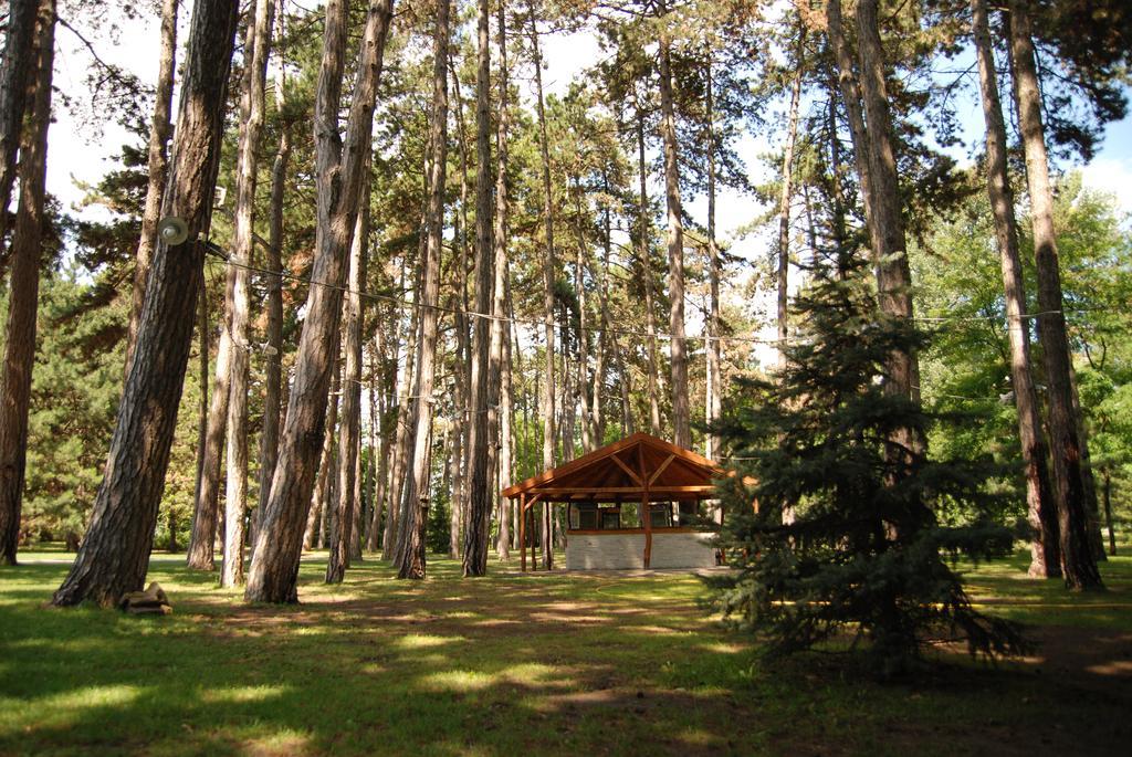 Hotel Villa Majur Subotica Luaran gambar